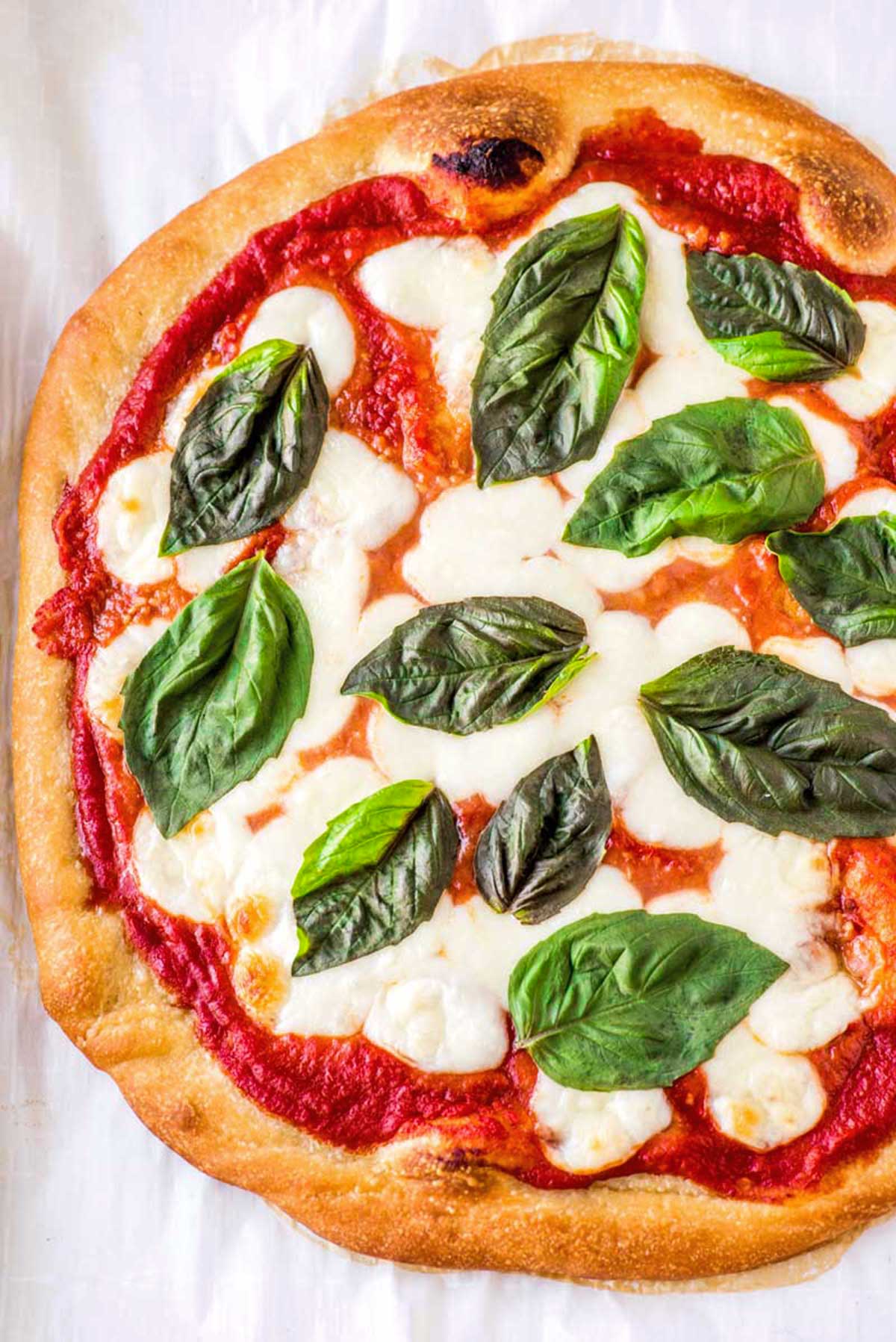 Top down view of prepared margherita pizza with whole leaf basil topping.