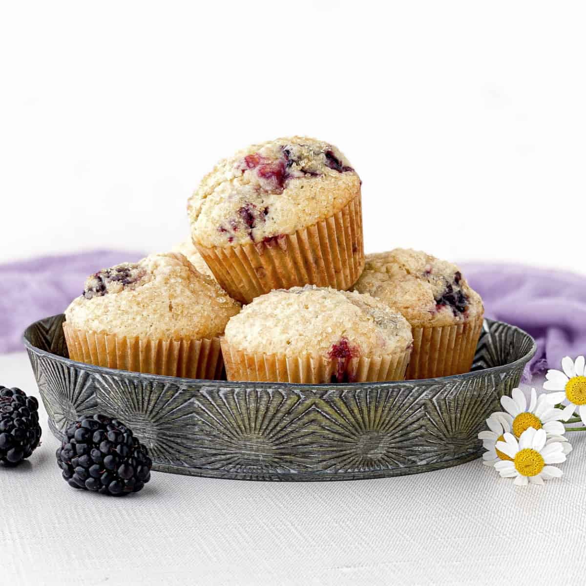 Blackberry Muffins