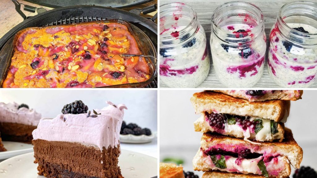 blackberry recipes