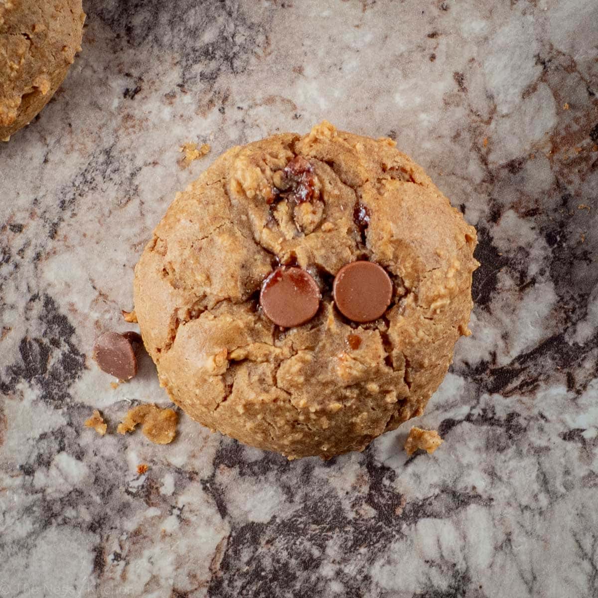 Chickpea Chocolate Chip Cookies