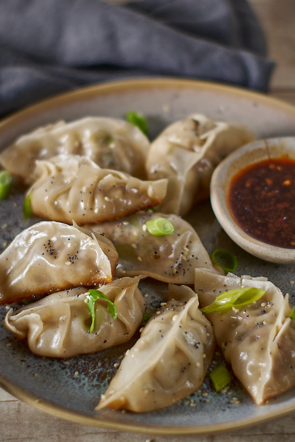 pan fried gyoza with dumpling dipping sauce