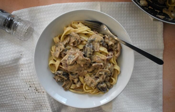 Mushroom Stroganoff