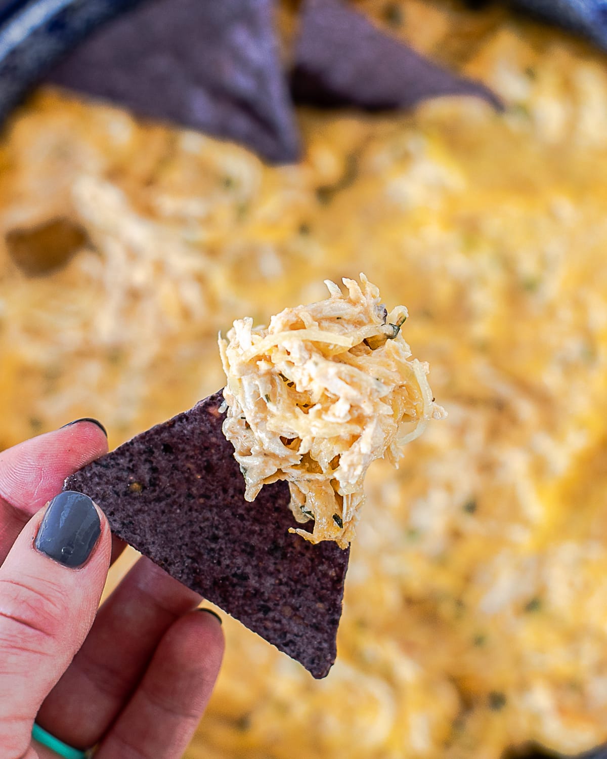 healthy buffalo chicken dip recipe